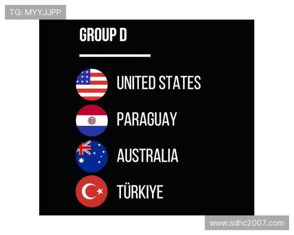 世界杯美国队D组竞争力排名